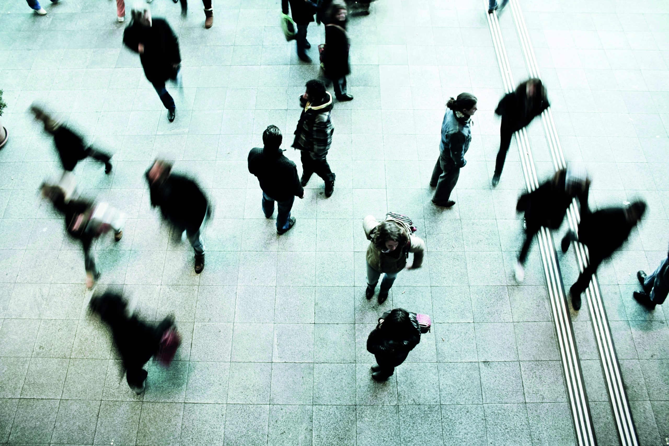 Online il Rapporto 2025, bilancio del primo anno della Fondazione Terna